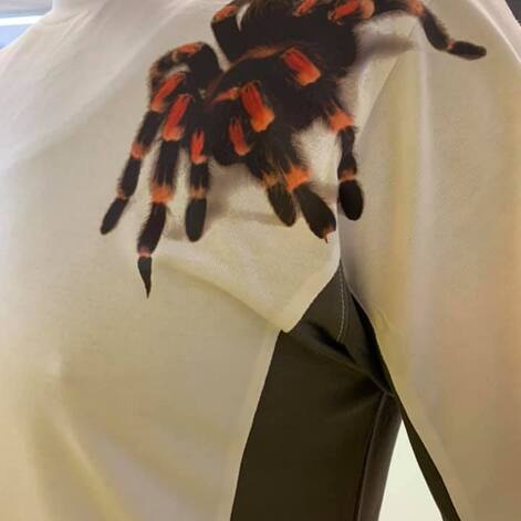 Spinnen T-Shirt